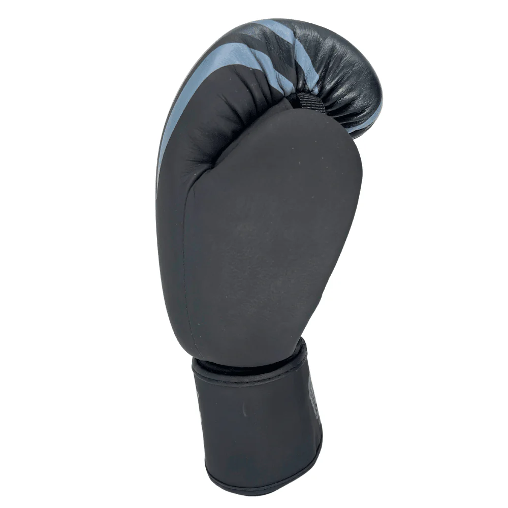 Bad Boy Pro Series Advanced Thai Gloves - Image 5